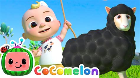 cocomelon baa baa black sheep|baa black sheep mp3 download.